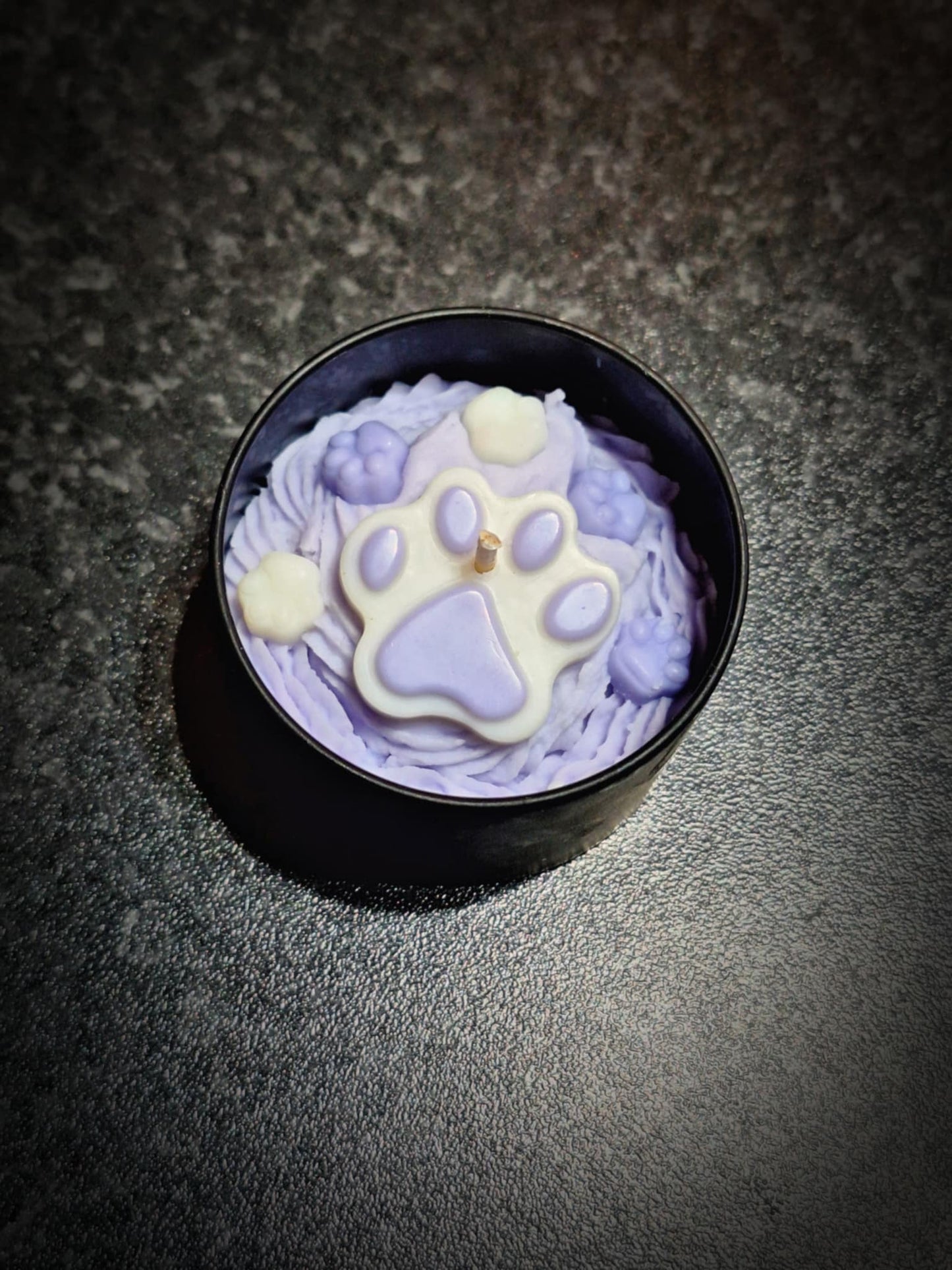 Empreinte Féline - Lueur de Timon