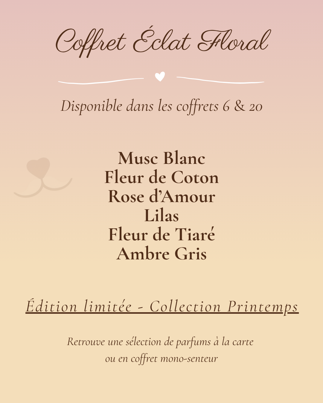 Coffret Empreinte de Timon