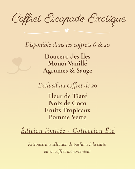 🌴 ESCAPADE EXOTIQUE - Saisonnier Été