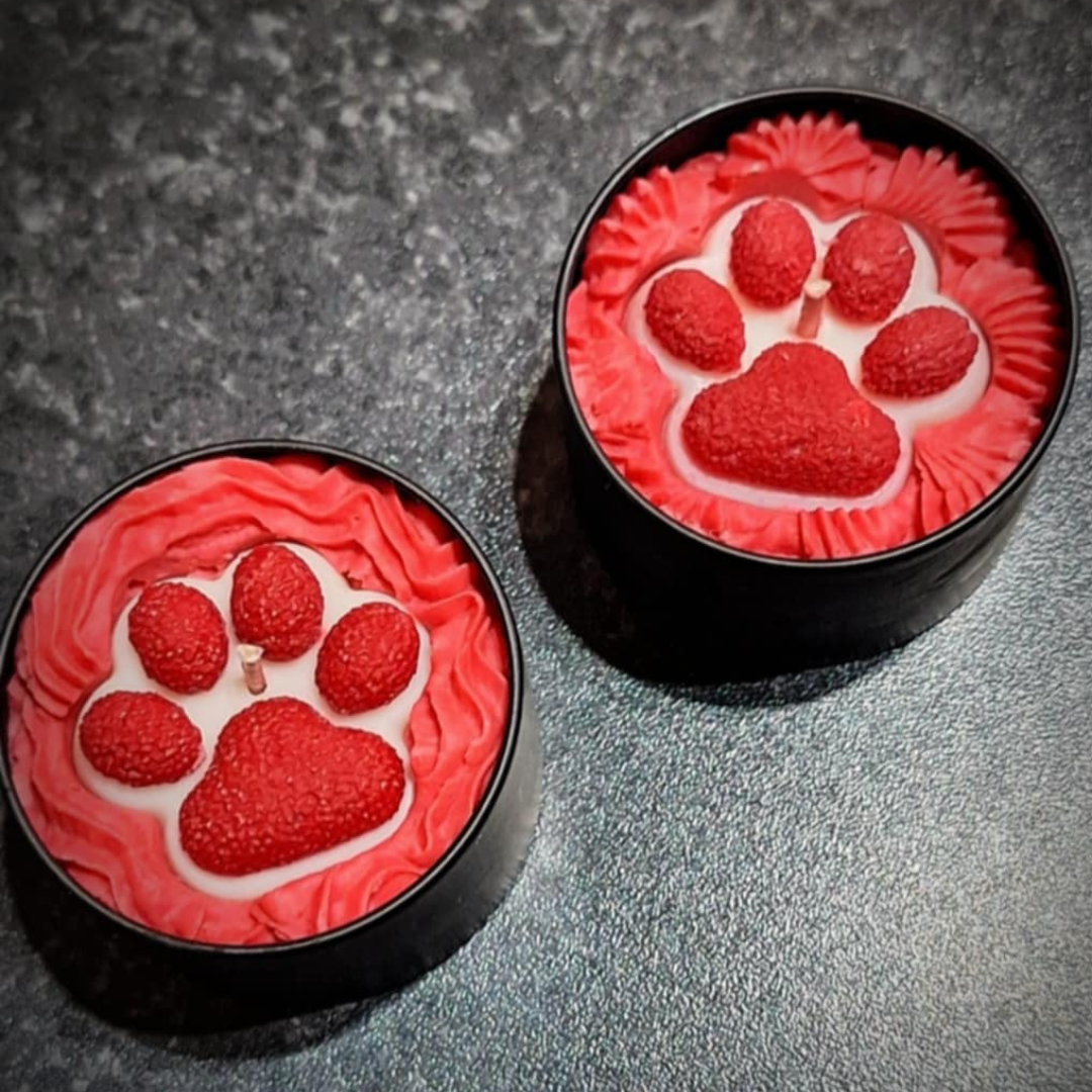 Empreinte Féline - Lueur de Timon