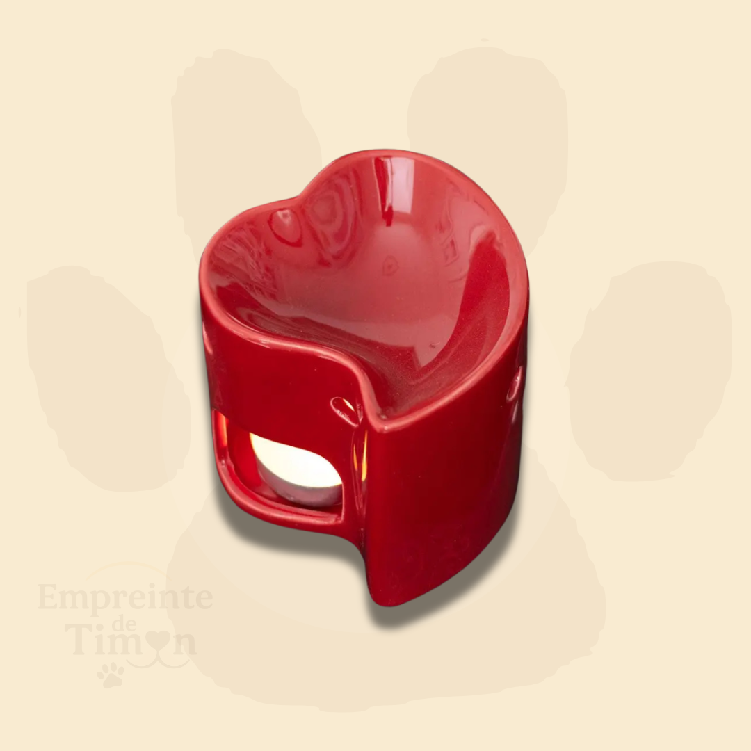 💘 CUPIDON - Coffret Saisonnier