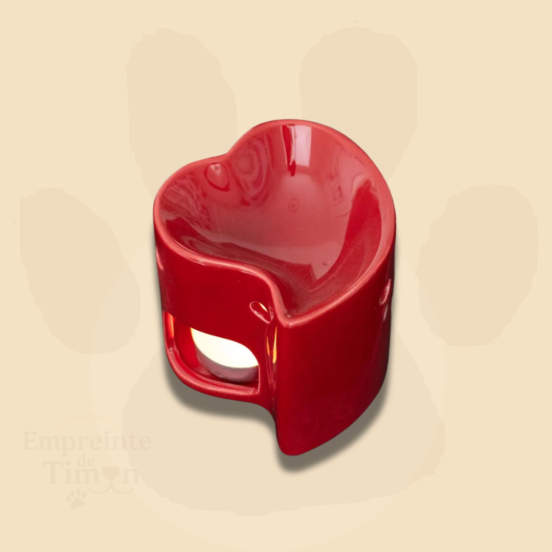 Brûleur pour fondants - Édition Ronron Partagés