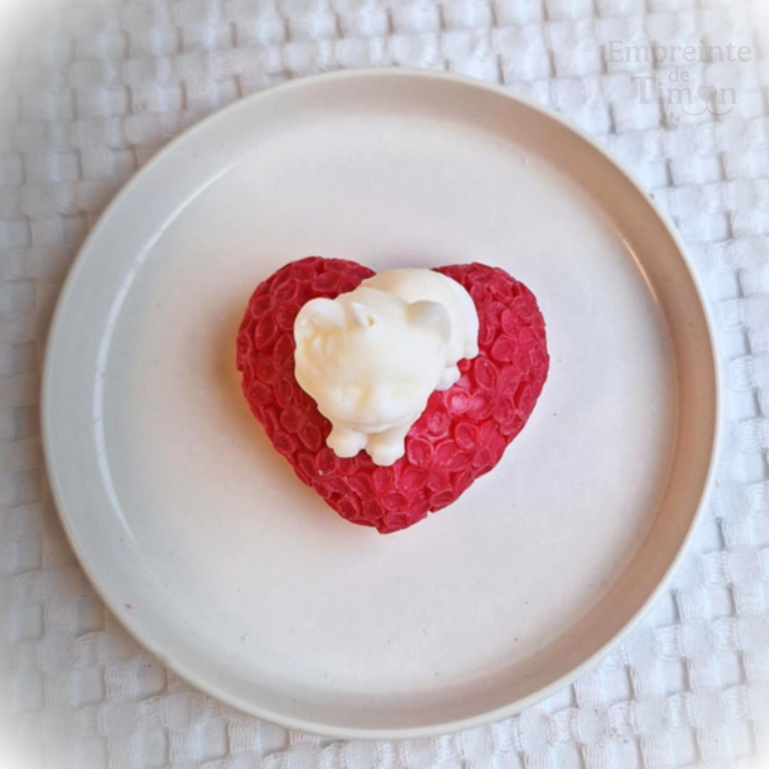 Chaton d'Amour - Ronrons Partagés