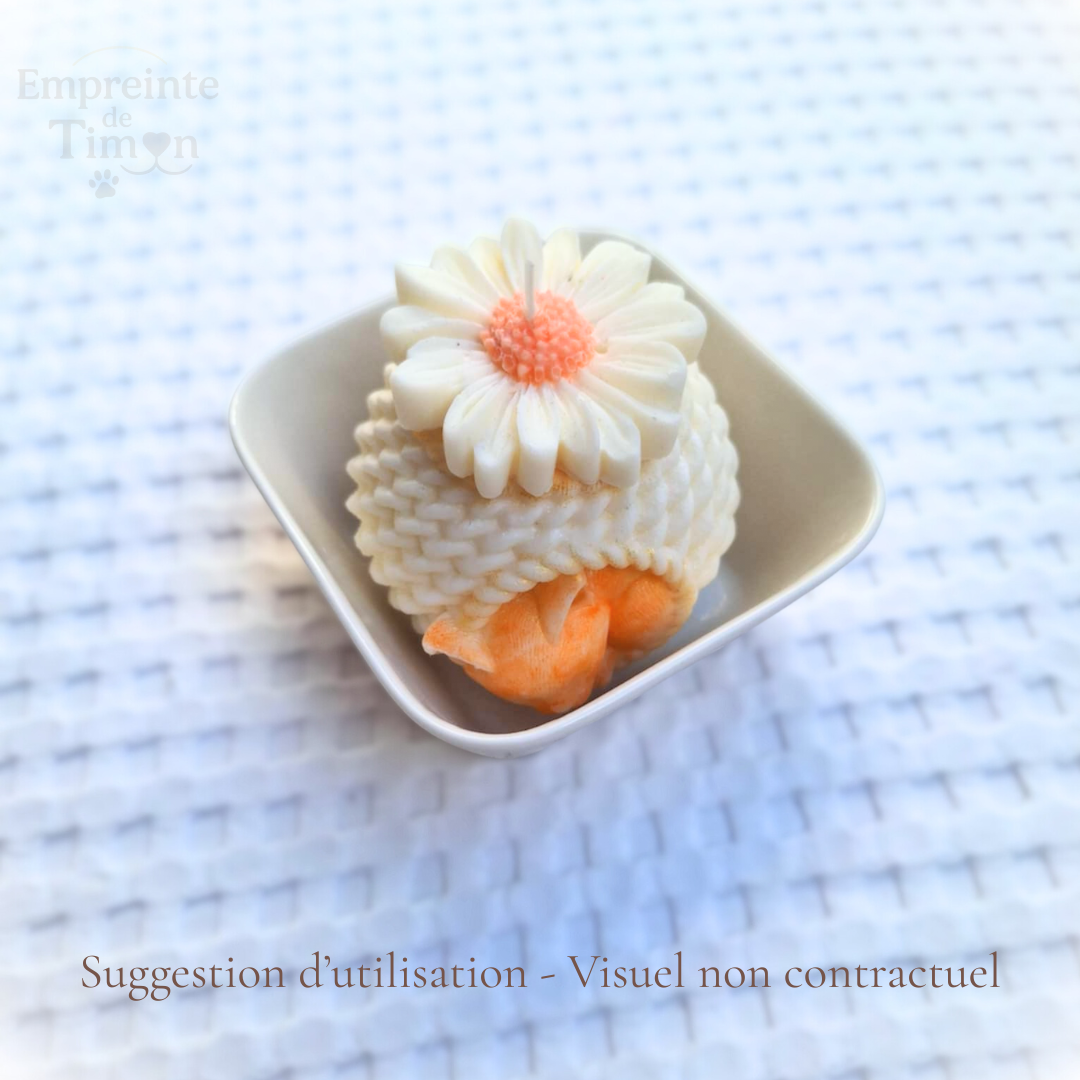 Cocon Marguerite - Lueur de Timon