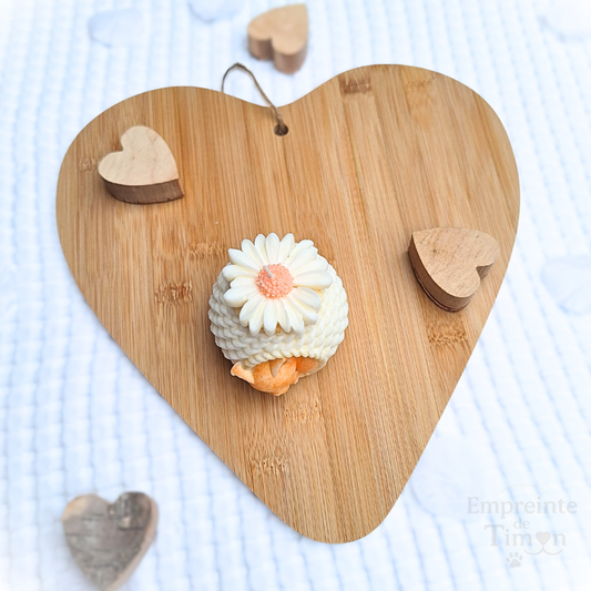 Cocon Marguerite - Lueur de Timon