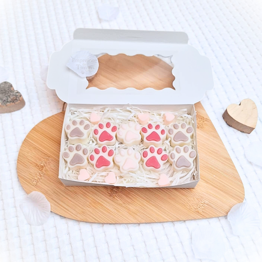 🧣 COCOON - Pack Saisonnier