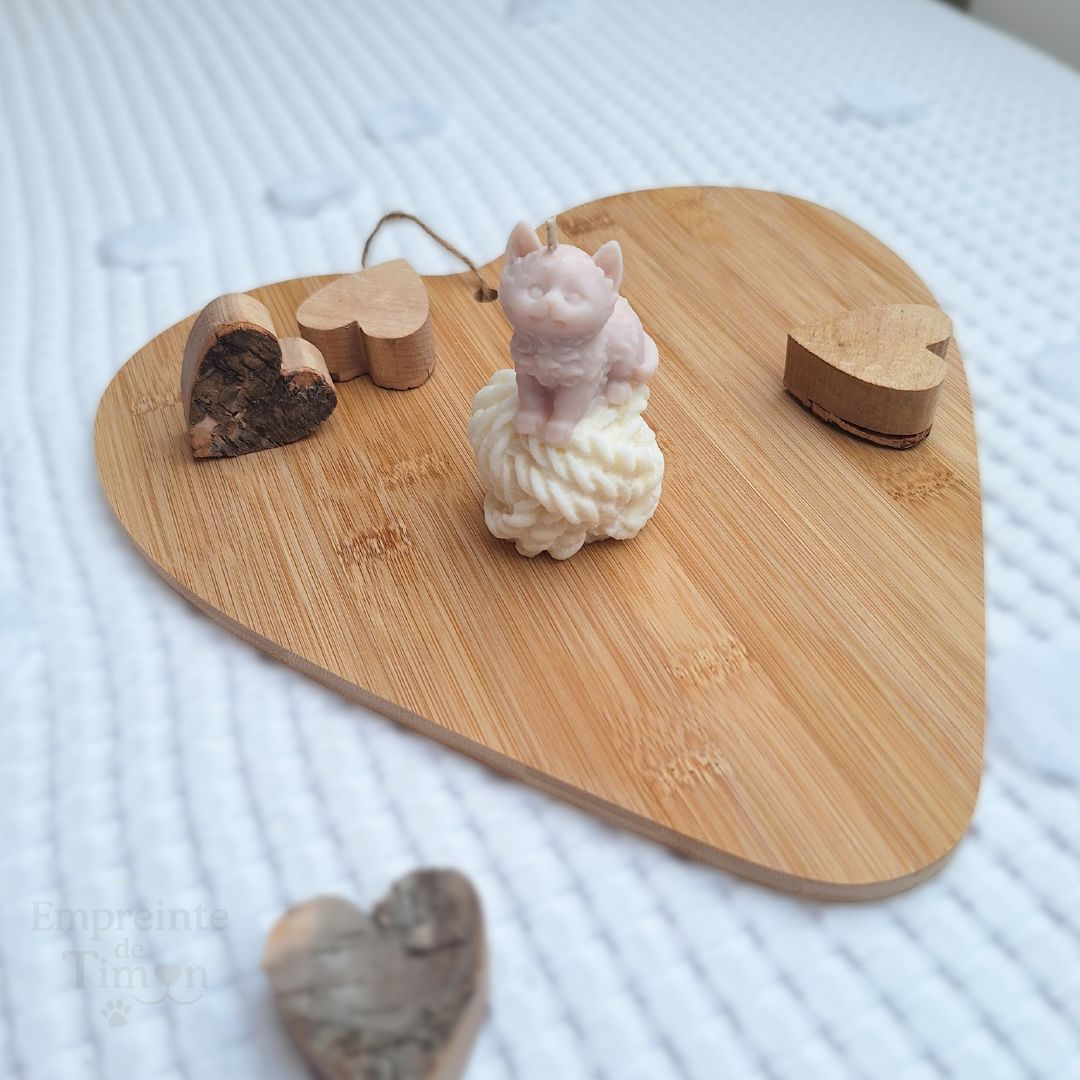 Aux Fils du Chat - La Recrue