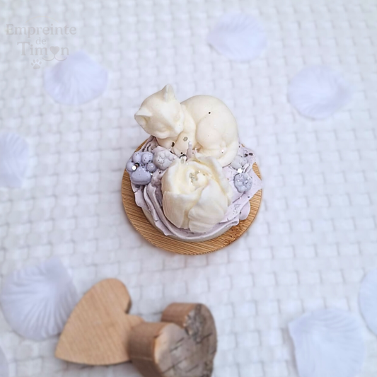 (EN STOCK) Cup'Cat - Lueur Gourmande