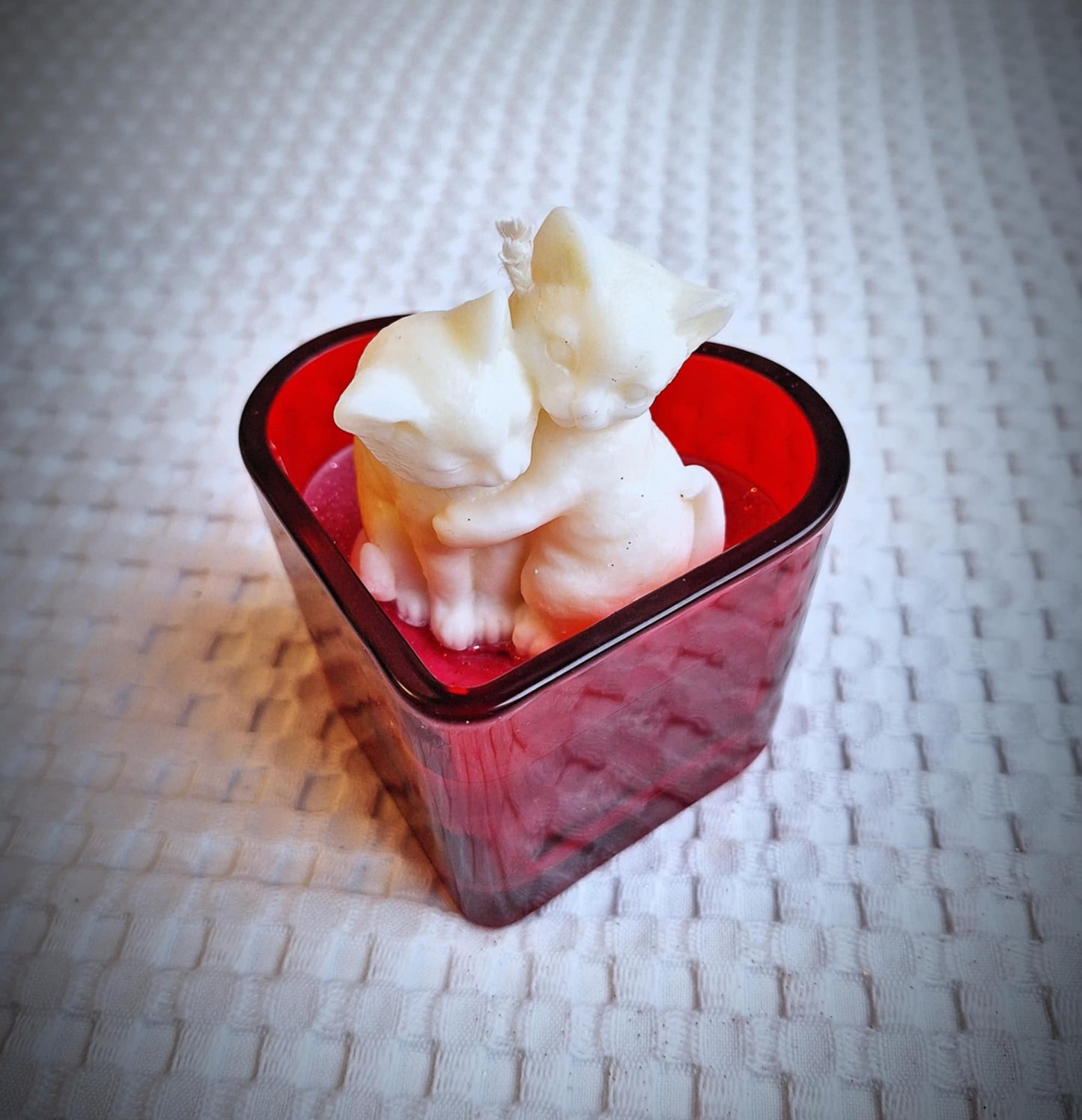 Étreinte Féline - Ronrons Partagés