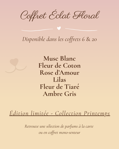Coffret Empreinte de Timon