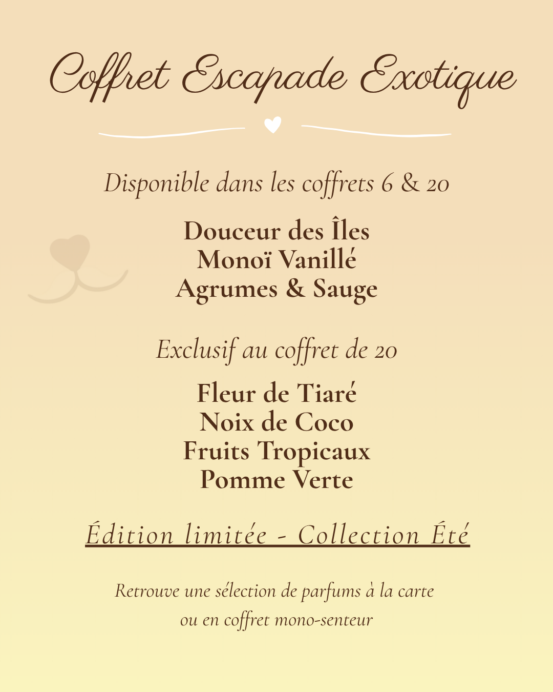 🌴 ESCAPADE EXOTIQUE - Saisonnier Été