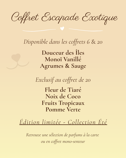 🌴 ESCAPADE EXOTIQUE - Saisonnier Été