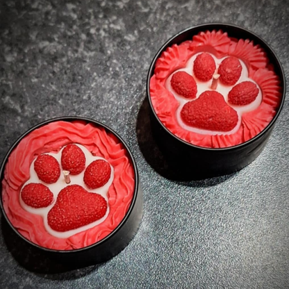 Empreinte Féline - Lueur de Timon