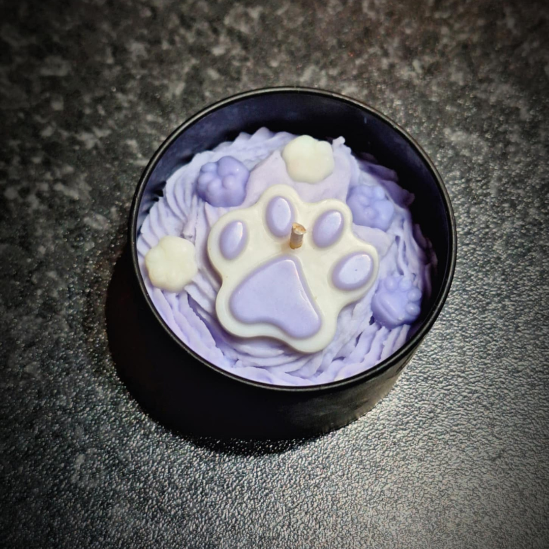 Empreinte Féline - Lueur de Timon