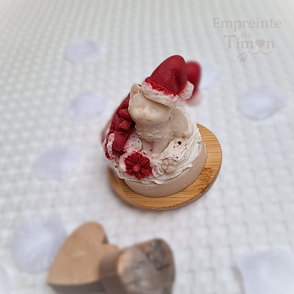 Cup'Cat - Lueur d'Hiver