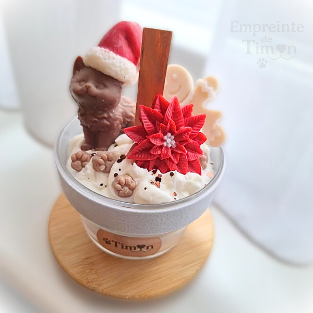 Chaton de Noël - Lueur d'Hiver