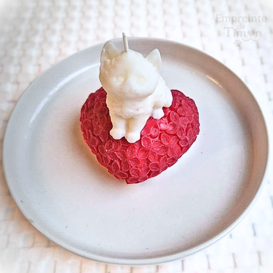 Chaton d'Amour - Ronrons Partagés