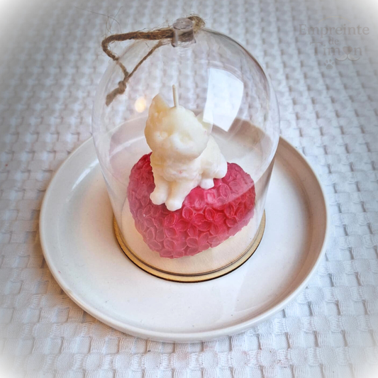 Chaton d'Amour - Ronrons Partagés