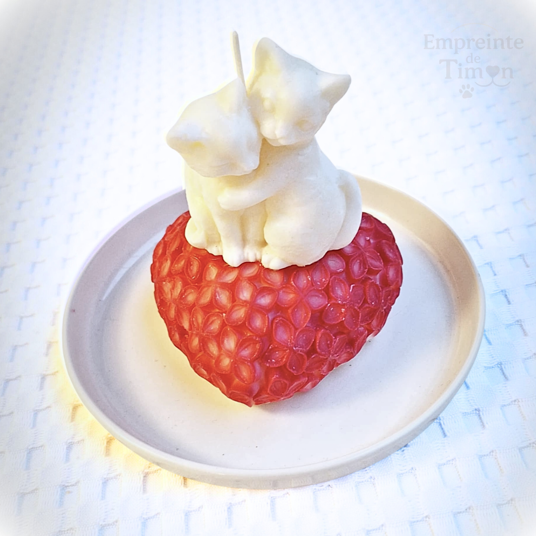 Étreinte Féline - Ronrons Partagés