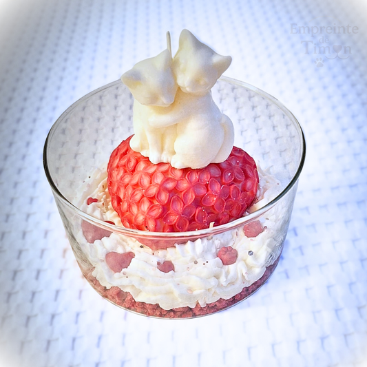 Étreinte Féline - Ronrons Partagés