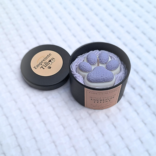 Empreinte Féline - Lueur de Timon