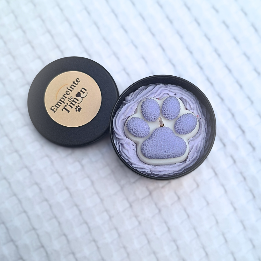 Empreinte Féline - Lueur de Timon