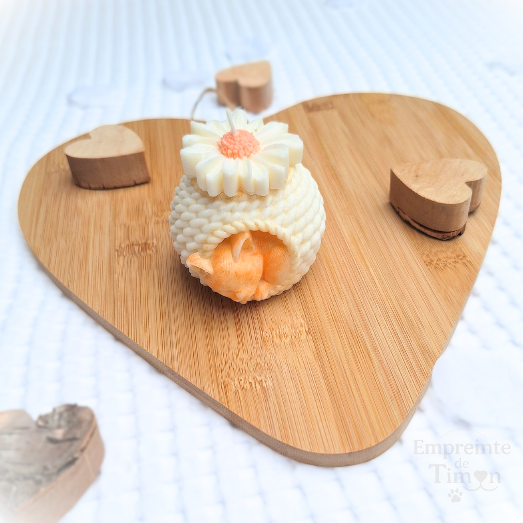 Cocon Marguerite - Lueur de Timon