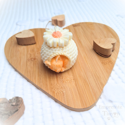 Cocon Marguerite - Lueur de Timon