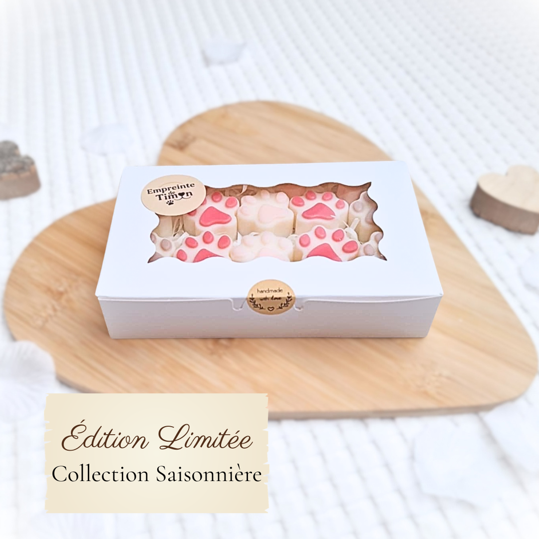 🌴 ESCAPADE EXOTIQUE - Saisonnier Été