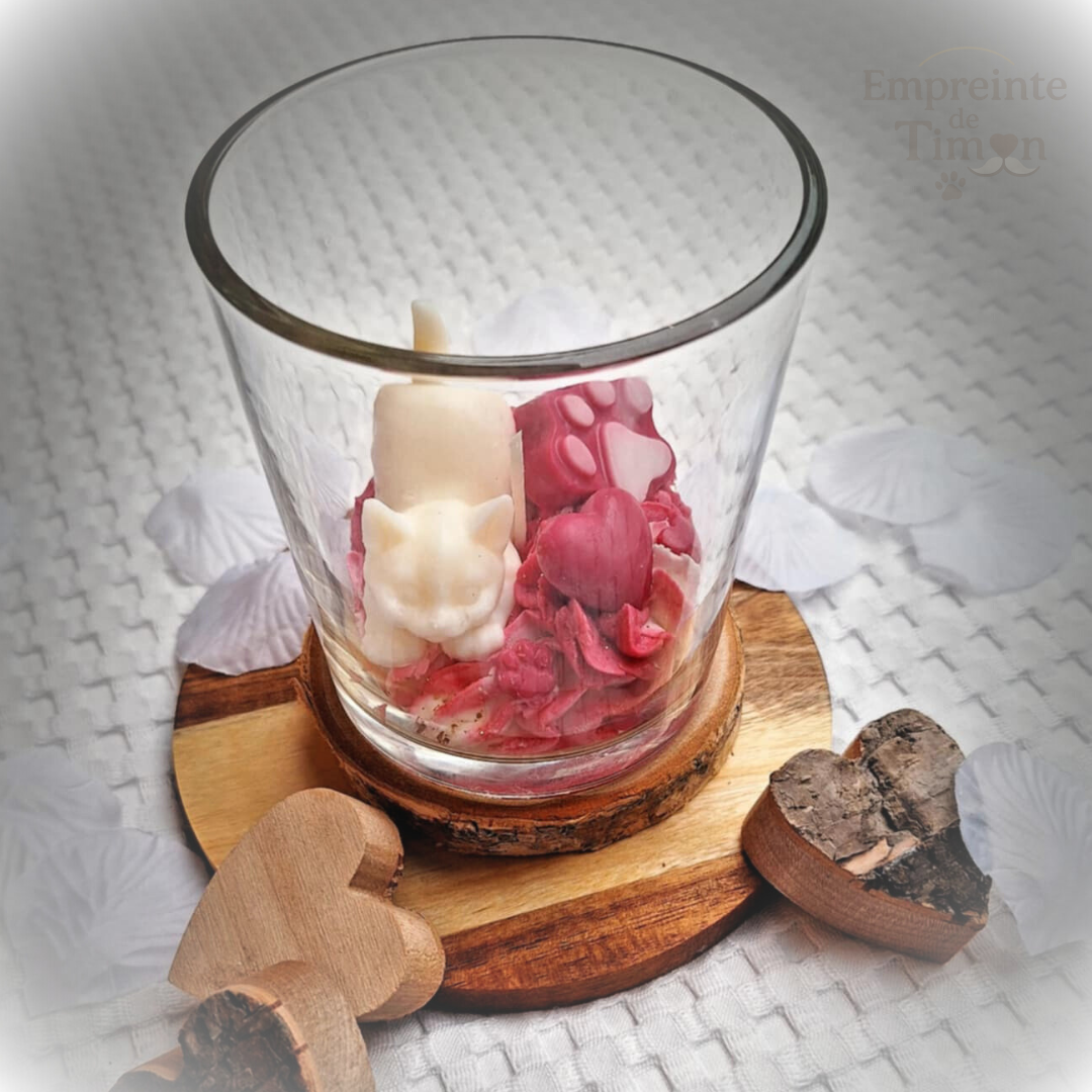 Love'Cats - Ronron Partagés