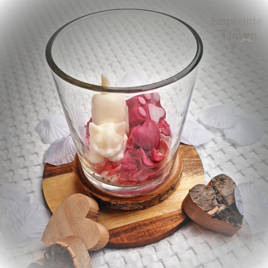 Love'Cats - Ronron Partagés