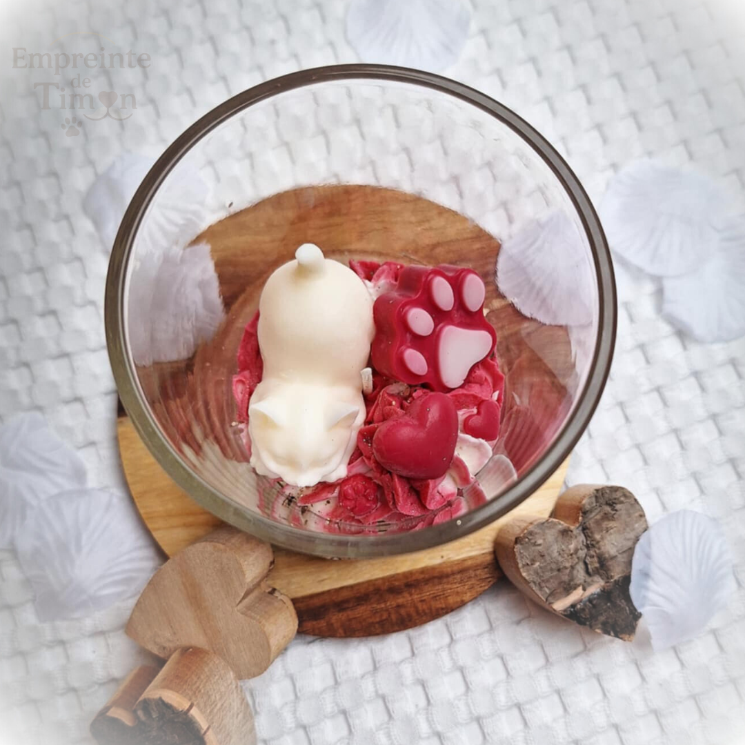 Love'Cats - Ronron Partagés