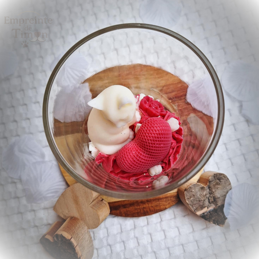 Love'Cats - Ronron Partagés