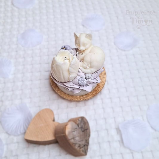 (EN STOCK) Cup'Cat - Lueur Gourmande