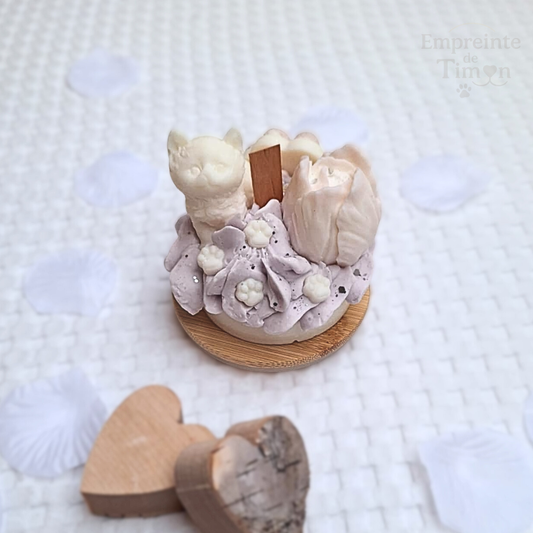 (EN STOCK) Cup'Cat - Lueur Gourmande