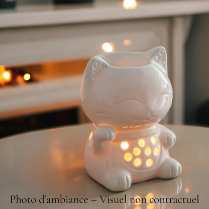 Brûleur pour fondants - TOMMY